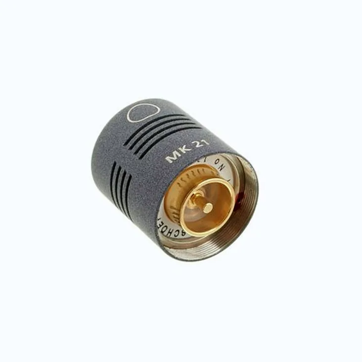 Schoeps MK 21 Wide Cardioid Recenze: Pod lupou: detaily a dynamika