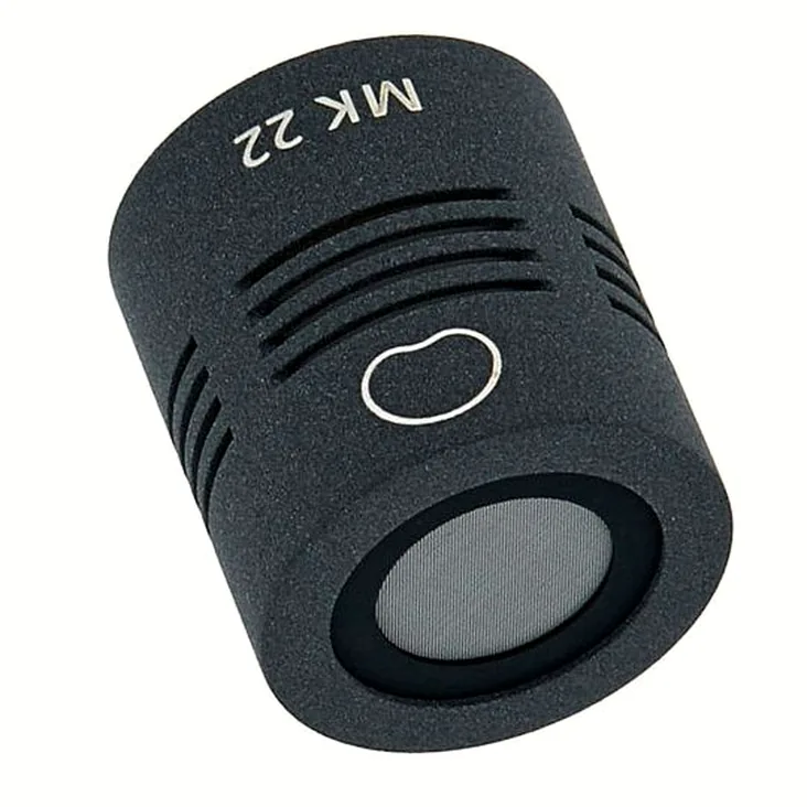 Schoeps MK 22 Recenze: Celá pravda o tomto mikrofonu
