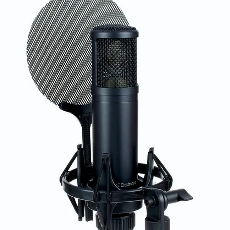 SE Electronics SE 2200 Recenze: Otestováno a ohodnoceno ve studiu
