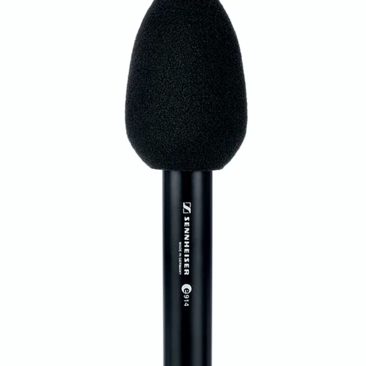 Sennheiser E 914 Recenze: Stojí za to do domácího studia?