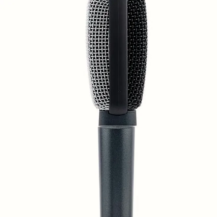 Sennheiser E609 Silver Recenze: Plná analýza charakteristiky