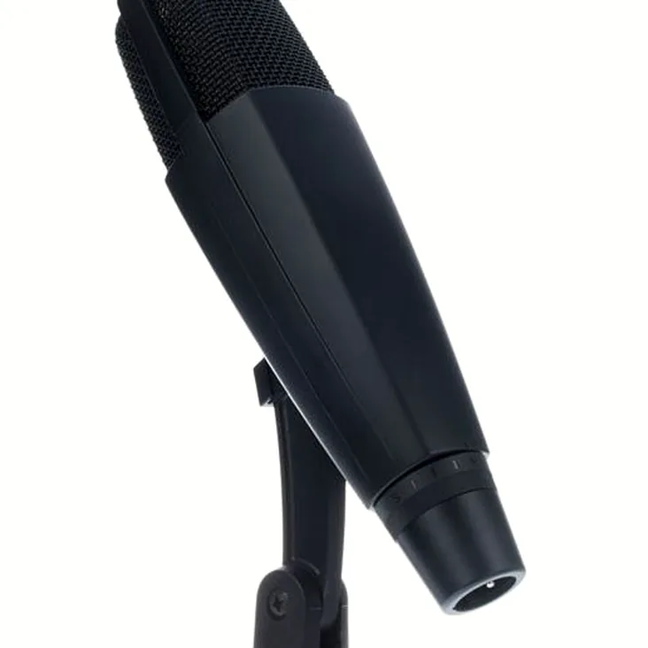 Sennheiser MD 421-II Recenze: Měli byste ho koupit do studia?