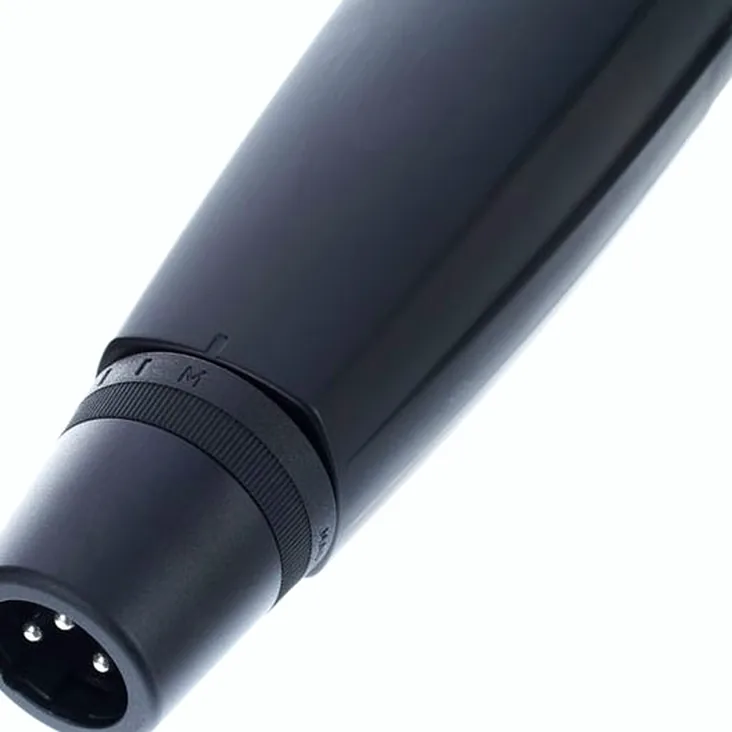 Sennheiser MD 421-II Recenze: Měli byste ho koupit do studia?