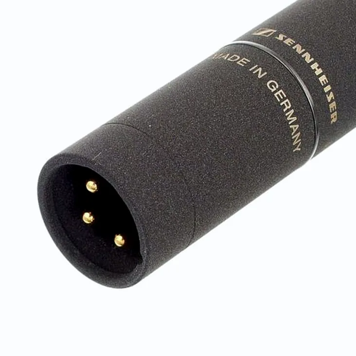 Sennheiser MKH 8040 Recenze: Je to dobrý mikrofon?