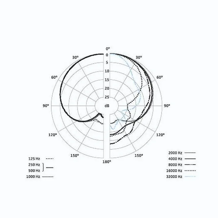 Sennheiser MKH 8040 Recenze: Je to dobrý mikrofon?