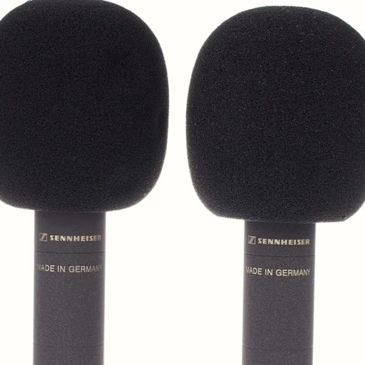 Sennheiser MKH 8040 Stereo Pair Recenze: Chytrý nákup pro producenta?