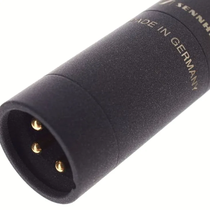 Sennheiser MKH 8040 Stereo Pair Recenze: Chytrý nákup pro producenta?