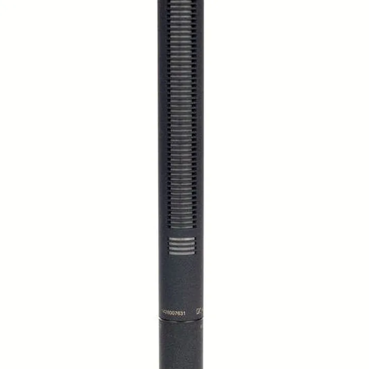 Sennheiser MKH 8060 Recenze: Závěrečné myšlenky a hodnocení