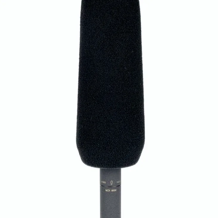 Sennheiser MKH 8060 Recenze: Závěrečné myšlenky a hodnocení