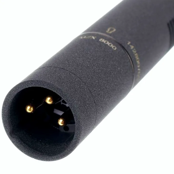 Sennheiser MKH 8060 Recenze: Závěrečné myšlenky a hodnocení