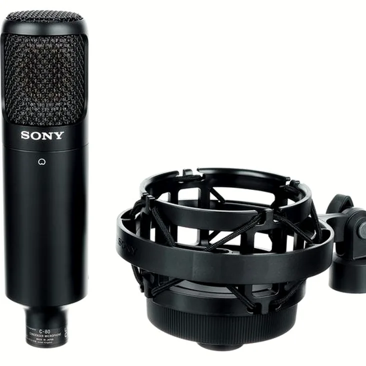 Sony C-80 Recenze: Výhody a nevýhody konstrukce