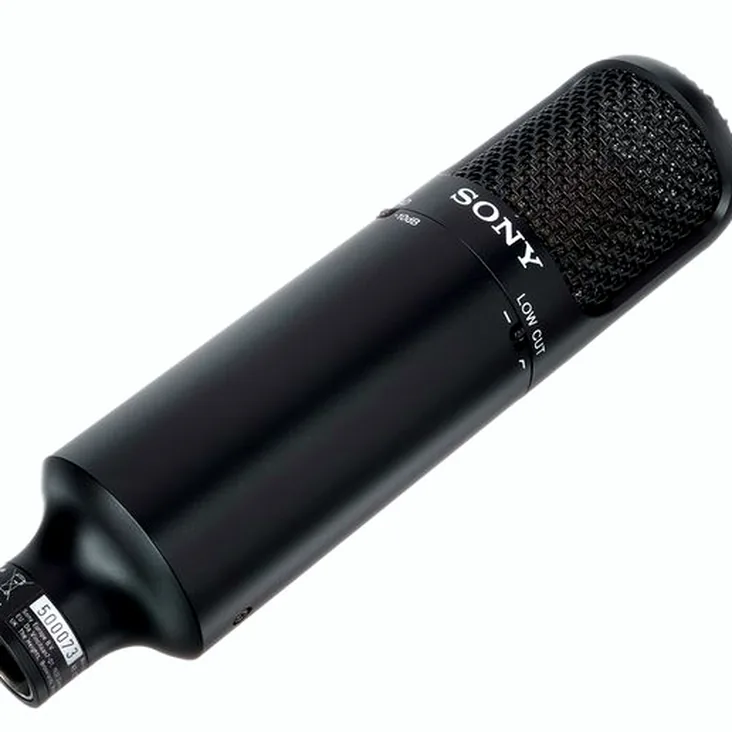 Sony C-80 Recenze: Výhody a nevýhody konstrukce