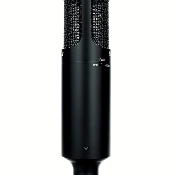Sony C-80 Recenze: Výhody a nevýhody konstrukce