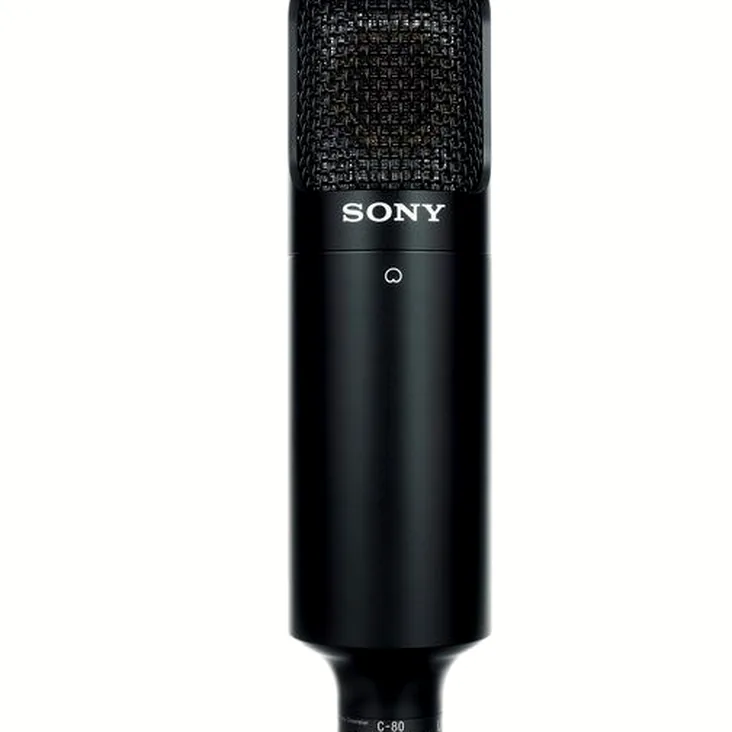 Sony C-80 Recenze: Výhody a nevýhody konstrukce