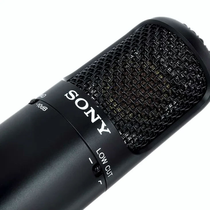Sony C-80 Recenze: Výhody a nevýhody konstrukce