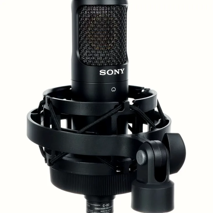 Sony C-80 Recenze: Výhody a nevýhody konstrukce
