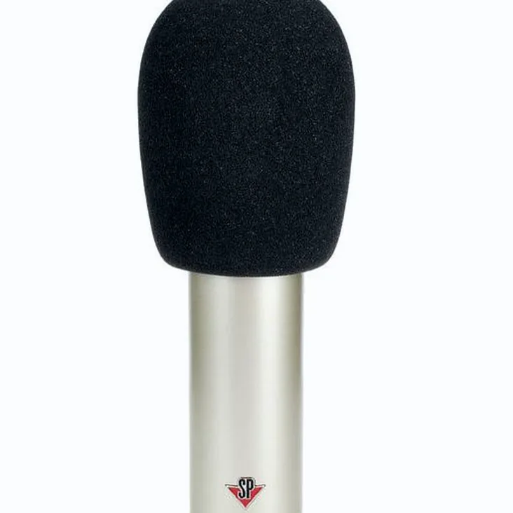 Studio Projects C1 Mk2 Recenze: Hit nebo propadák v této cenové kategorii?