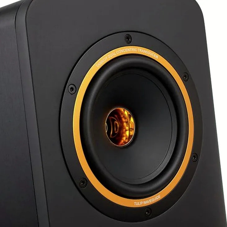 Tannoy Gold 5 Recenze: Nákupní průvodce a verdikt