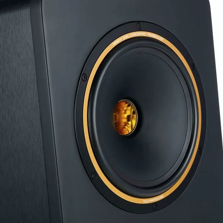 Tannoy Gold 8 Recenze: Všechny podrobnosti o Tannoy Gold 8