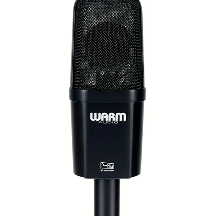 Warm Audio WA-14 Recenze: Upřímný verdikt uživatele
