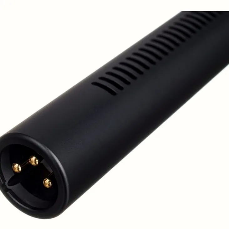 Warm Audio WA-19B Recenze: Výhody a nevýhody konstrukce