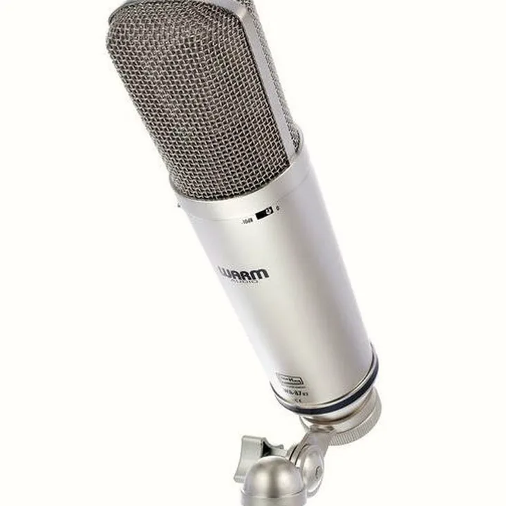 Warm Audio WA-87 R2 Recenze: Naše myšlenky po testování