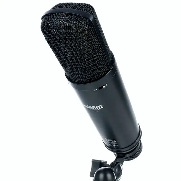 Warm Audio WA-87 R2B Recenze: Zpracování, tělo a zvuk