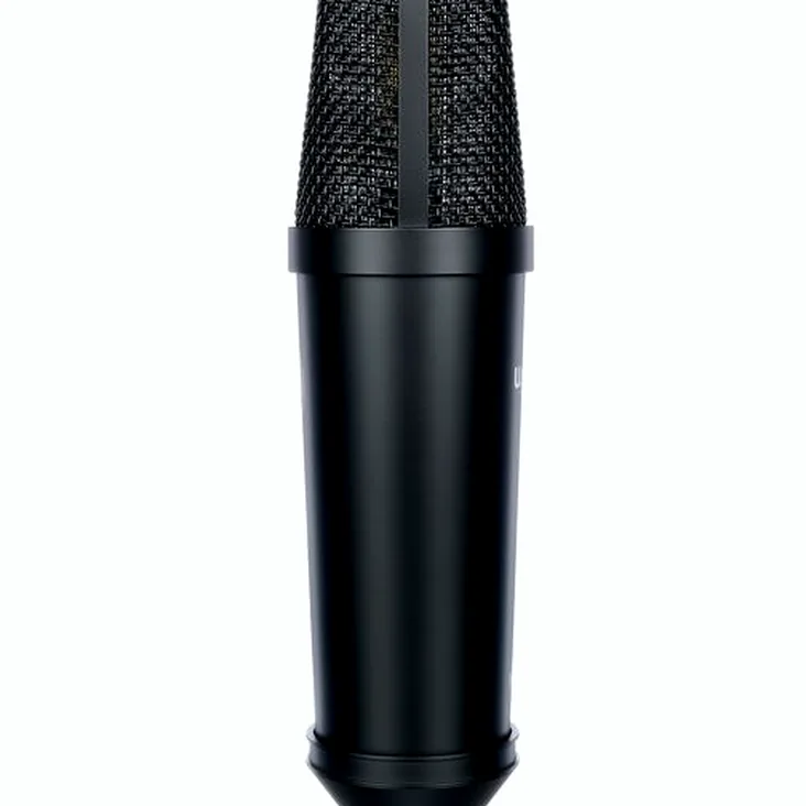Warm Audio WA-87jr SE Black Recenze: Je to dobrý mikrofon?